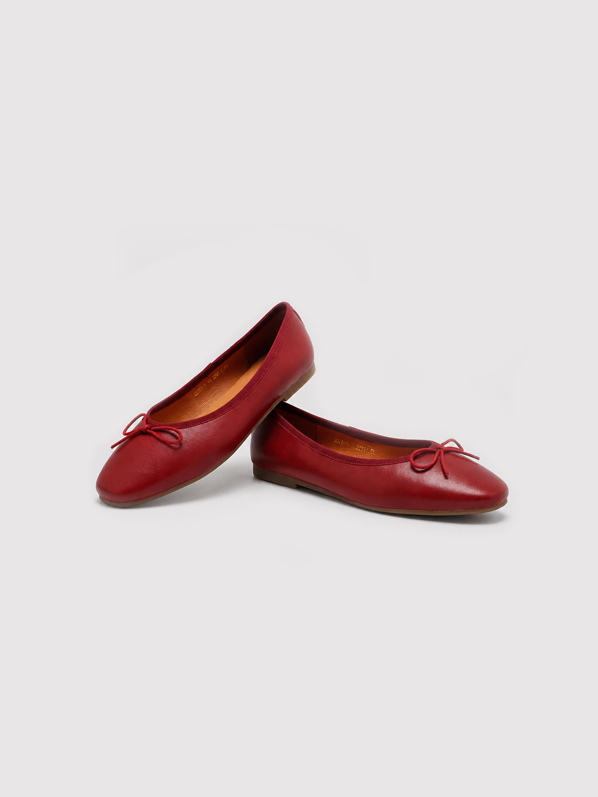 Ballet Red Shoes